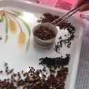 천초한의원 이미지