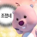 신자매