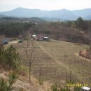 양지농장 이미지