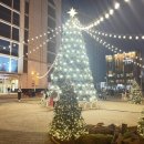 송정태권도체육관 이미지