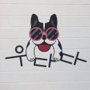 우다다애견 이미지