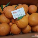 서준농장 이미지