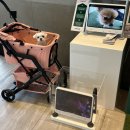 플레이독스 | 남양주 애견동반 카페 운동장 강아지 TV 독스플레이 있는 스타벅스