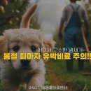 산수유동물병원 이미지