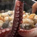 삼척골뱅이 이미지