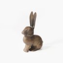 신 달토끼 이미지