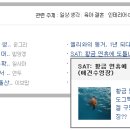 황금수영장 이미지