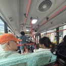 사바사바 이미지