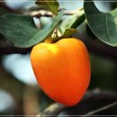 함께 커피 이미지