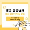 어썸펫동물병원 | 홍콩 동물병원 펫센트럴 인턴십! 호남대 반려동물산업학과 해외 인턴십 리얼 후기