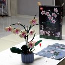 마크라메 봄맞이 감성 소품 만들기 | 레고 보태니컬 10311 난초 리뷰, 기념일 봄 인테리어 소품으로 딱 좋은 꽃모양 레고