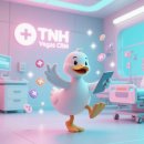 티엔에이치 | 의료 IT의 숨은 강자, 티엔에이치(TNH) 완전 분석 - 데이터로 본 시장 지배력과 고객 반응