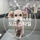펫피아 애견 미용실 | 경남 양산 반려견 미용&amp;호텔 도그 스타일 추천합니다