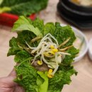동천대패