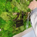 북이면 행정복지센터 이미지