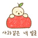 데이무드 이미지