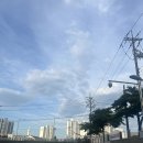 새한빛약국 이미지