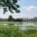 화성관련 표석 일괄 이미지