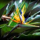 서귀포미친게스트하우스파티 이미지