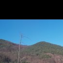 자동차와좋은사람들 Daum카페