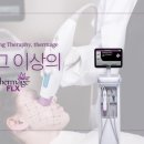 미소가인 이미지