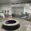 바위목욕탕 이미지