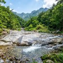 산마루민박 | [8월 성주 여행] 가야산 시원한 암반수! 성주 포천계곡 물놀이 &amp; 가야산 야생화식물원 총정리