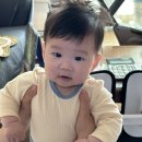 언남문화체육센터 | 육아 근황 18 (언남 문화 체육센터 / 6개월 아기 육아 기록)