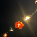 동일로163길 (28) | [먹골] 쪽갈비대통령