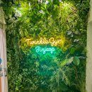 트윙클짐 이미지