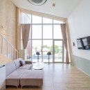 스테이숨 이미지