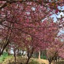 발한공원 이미지