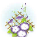 꽃과 꽃라인 아이콘 이미지