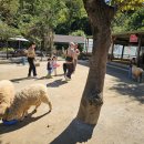 양평목장 이미지