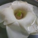 금강 농장 이미지