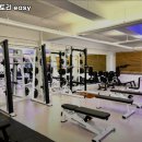 머슬팩토리 easy 이미지