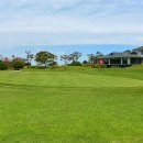 VIP골프존 이미지