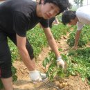 신태인고등학교 이미지