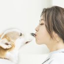 멍멍냥냥&