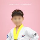 하늘빛 태권도 이미지