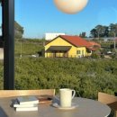 스테이하례 이미지