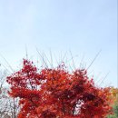 도덕산캠핑장 이미지