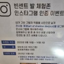 7304 | 그림자의 마술사 빈센트발 전시회 관람 후기(대전 아이와 가볼만한곳)