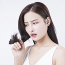 머리카락 - 광산구 | 머리카락
