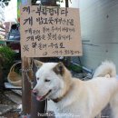 칠 이미지