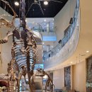 고현유치원 이미지