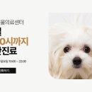 안중동물병원 네이버블로그