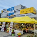 가평잣고을전통시장 이미지