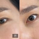 브로우코드 속눈썹&눈썹 네이버블로그