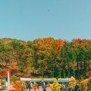 3관문 휴게소 화장실 이미지